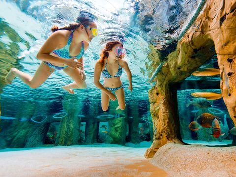 Center Parcs Park Erperheide - Camping Limburg Belge