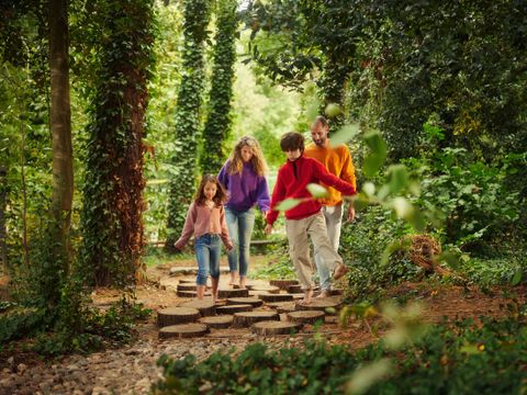 Center Parcs Park Erperheide - Camping Limburg Belge - Image N°3