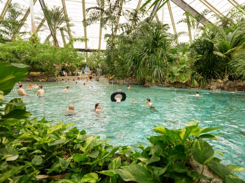 Center Parcs Park Erperheide - Camping Limburg Belge