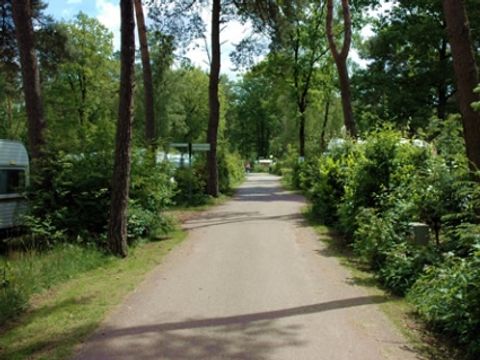 Buitencentrum Hessenheem - Camping Hof von Twente - Image N°8
