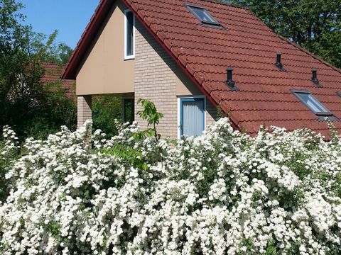 Buitenplaats Gerner - Camping Dalfsen - Image N°18