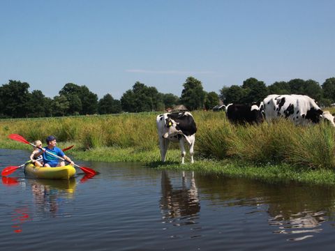 Buitenplaats Gerner - Camping Dalfsen - Image N°23