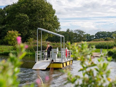 Buitenplaats Gerner - Camping Dalfsen - Image N°12