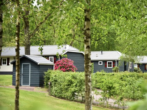 Buitenplaats Gerner - Camping Dalfsen - Image N°16