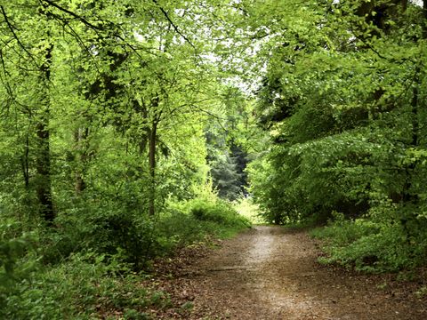 Buitenplaats Gerner - Camping Dalfsen - Image N°20