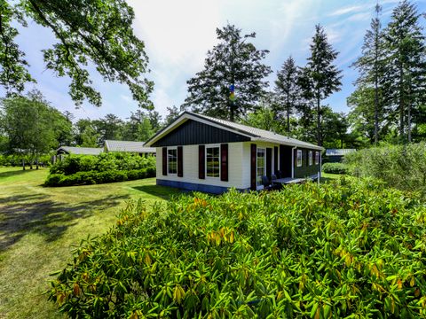 Buitenplaats Gerner - Camping Dalfsen - Image N°15