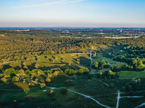 EuroParcs Brunssummerheide - Camping Brunssum - Image N°41