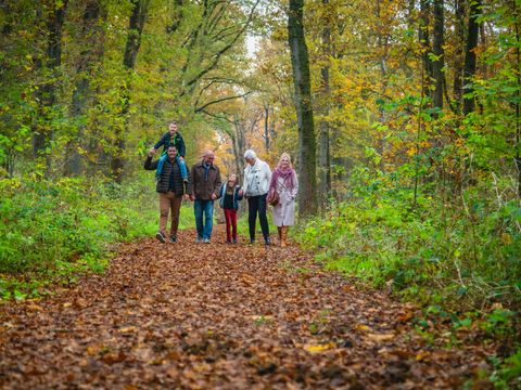 EuroParcs Brunssummerheide - Camping Brunssum
