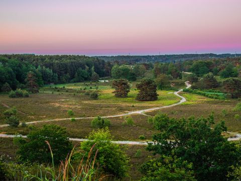 EuroParcs Brunssummerheide - Camping Brunssum - Image N°43