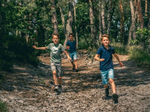 EuroParcs Brunssummerheide - Camping Brunssum - Image N°13