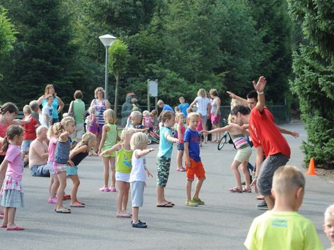 Vakantiepark De Pampel - Camping Apeldoorn