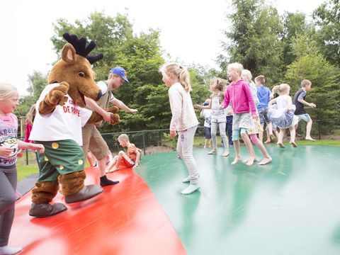 Vakantiepark De Pampel - Camping Apeldoorn