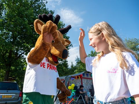 Vakantiepark De Pampel - Camping Apeldoorn