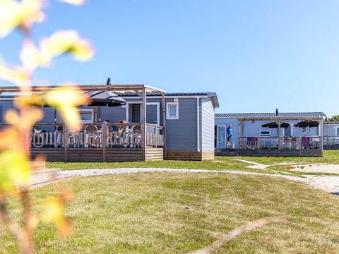 Molecaten Park Noordduinen - Camping Katwijk am Meer - Image N°9