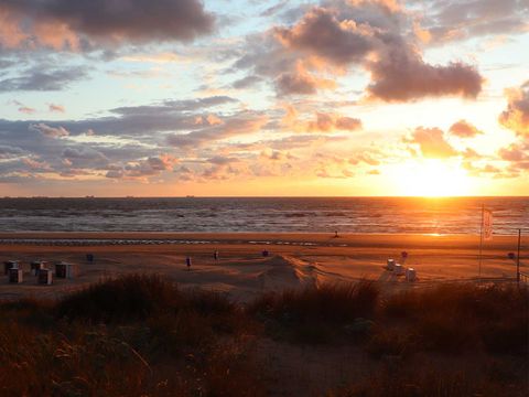 Molecaten Park Noordduinen - Camping Katwijk am Meer - Image N°30
