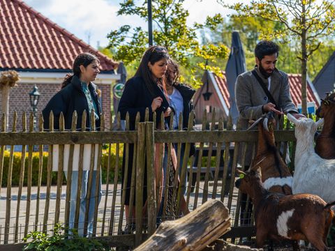 EuroParcs Buitenhuizen - Camping Velsen - Image N°23