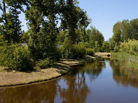 EuroParcs Buitenhuizen - Camping Velsen - Image N°34