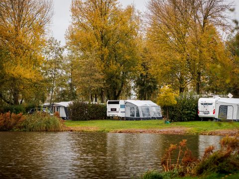Vakantiepark Eiland van Maurik - Camping Buren - Image N°54