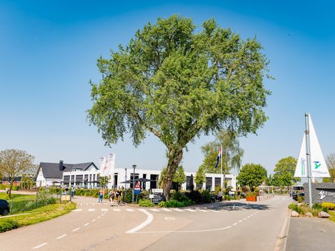 Vakantiepark Eiland van Maurik - Camping Buren - Image N°18