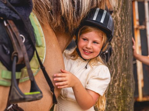 Vakantiepark IJsselhof - Camping Hollands Kroon - Image N°8