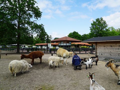 EuroParcs Limburg - Camping Echt-Susteren - Image N°23