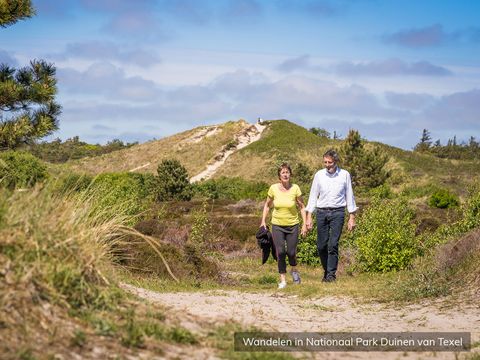 Residentie Californië - Camping Texel - Image N°12