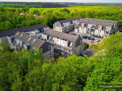 Residentie Californië - Camping Texel - Image N°2