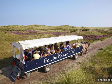 Residentie Californië - Camping Texel - Image N°8