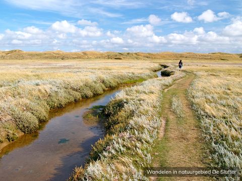 Residentie Californië - Camping Texel - Image N°13