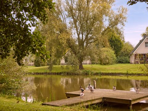 Center Parcs Parc Sandur - Camping Emmen - Image N°62
