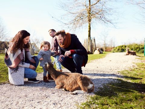 Center Parcs Parc Sandur - Camping Emmen - Image N°19
