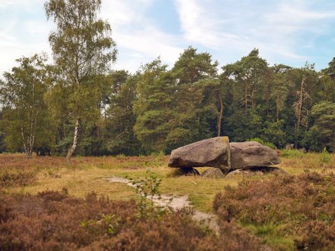 Center Parcs Parc Sandur - Camping Emmen - Image N°29