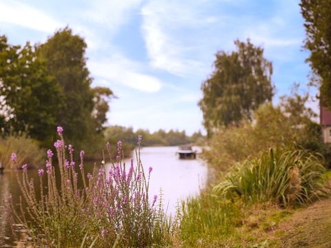 Center Parcs Parc Sandur - Camping Emmen - Image N°57