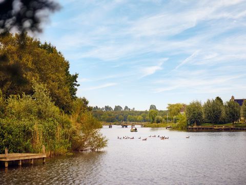 Center Parcs Parc Sandur - Camping Emmen - Image N°33