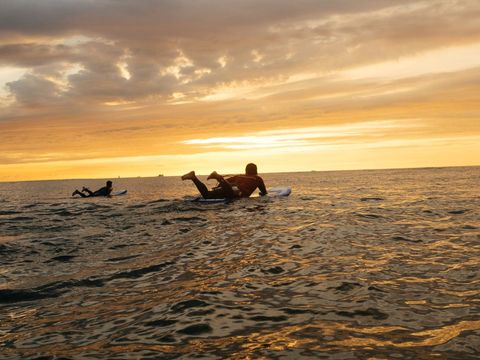 Strandpark Vlugtenburg aan Zee - Camping Westland