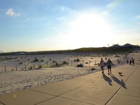 Strandpark Vlugtenburg aan Zee - Camping Westland - Image N°40