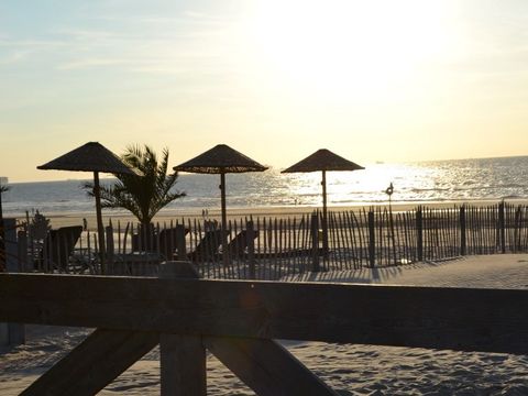Strandpark Vlugtenburg aan Zee - Camping Westland - Image N°41