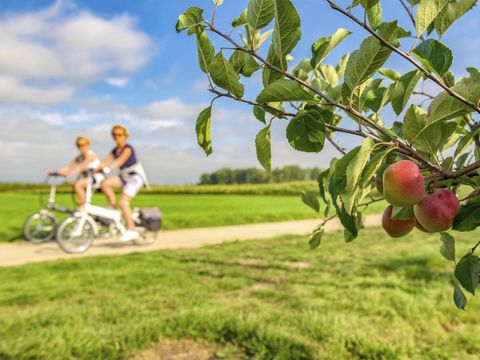 Holiday Suites Limburg - Camping Limburg Belge