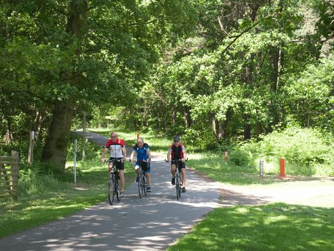 Holiday Suites Limburg - Camping Limburg Belge