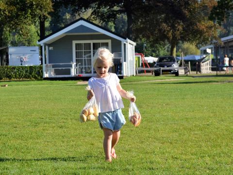 Molecaten Park Waterbos - Camping Westvoorne - Image N°5