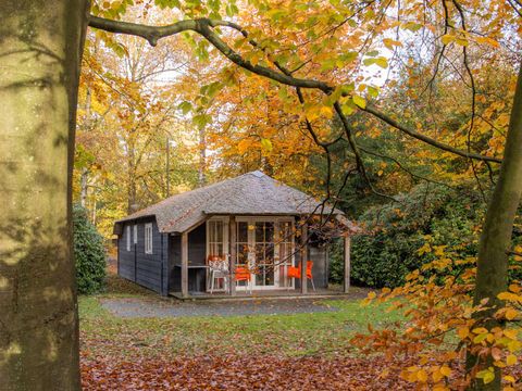 Molecaten Park De Leemkule - Camping Hattem - Image N°22