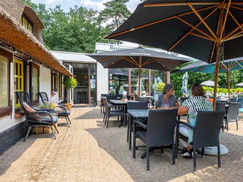 Molecaten Park De Leemkule - Camping Hattem