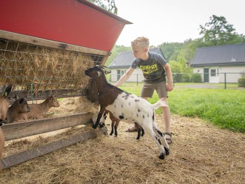 Bungalowpark Het Bosmeer - Camping Weststellingwerf