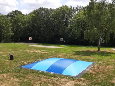 Bungalowpark Het Bosmeer - Camping Weststellingwerf - Image N°9