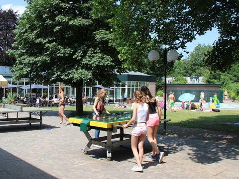Molecaten Park Landgoed Ginkelduin - Camping Utrechtse Heuvelrug - Image N°21