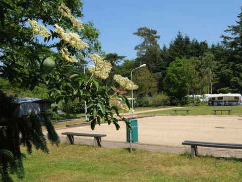 Molecaten Park Landgoed Ginkelduin - Camping Utrechtse Heuvelrug