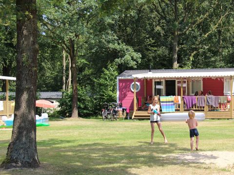 Molecaten Park Bosbad Hoeven - Camping Halderberge - Image N°17