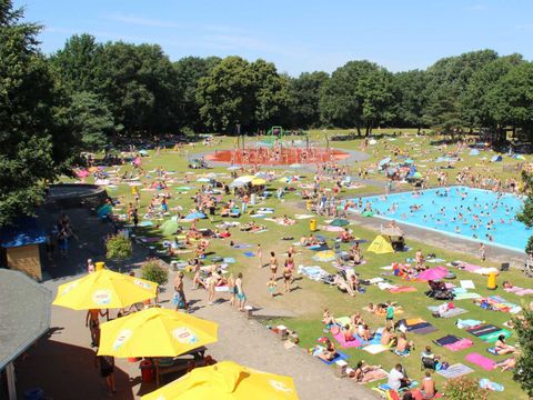 Molecaten Park Bosbad Hoeven - Camping Halderberge
