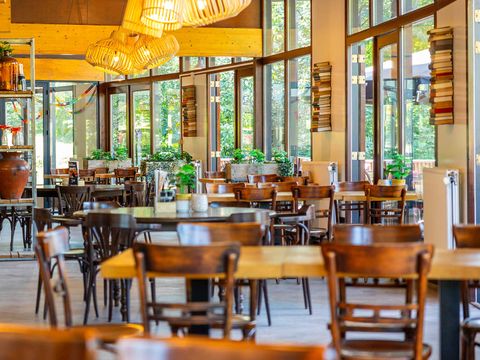 Molecaten Park Bosbad Hoeven - Camping Halderberge