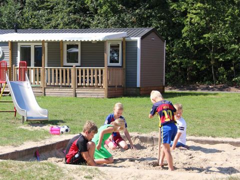 Molecaten Park Bosbad Hoeven - Camping Halderberge - Image N°16